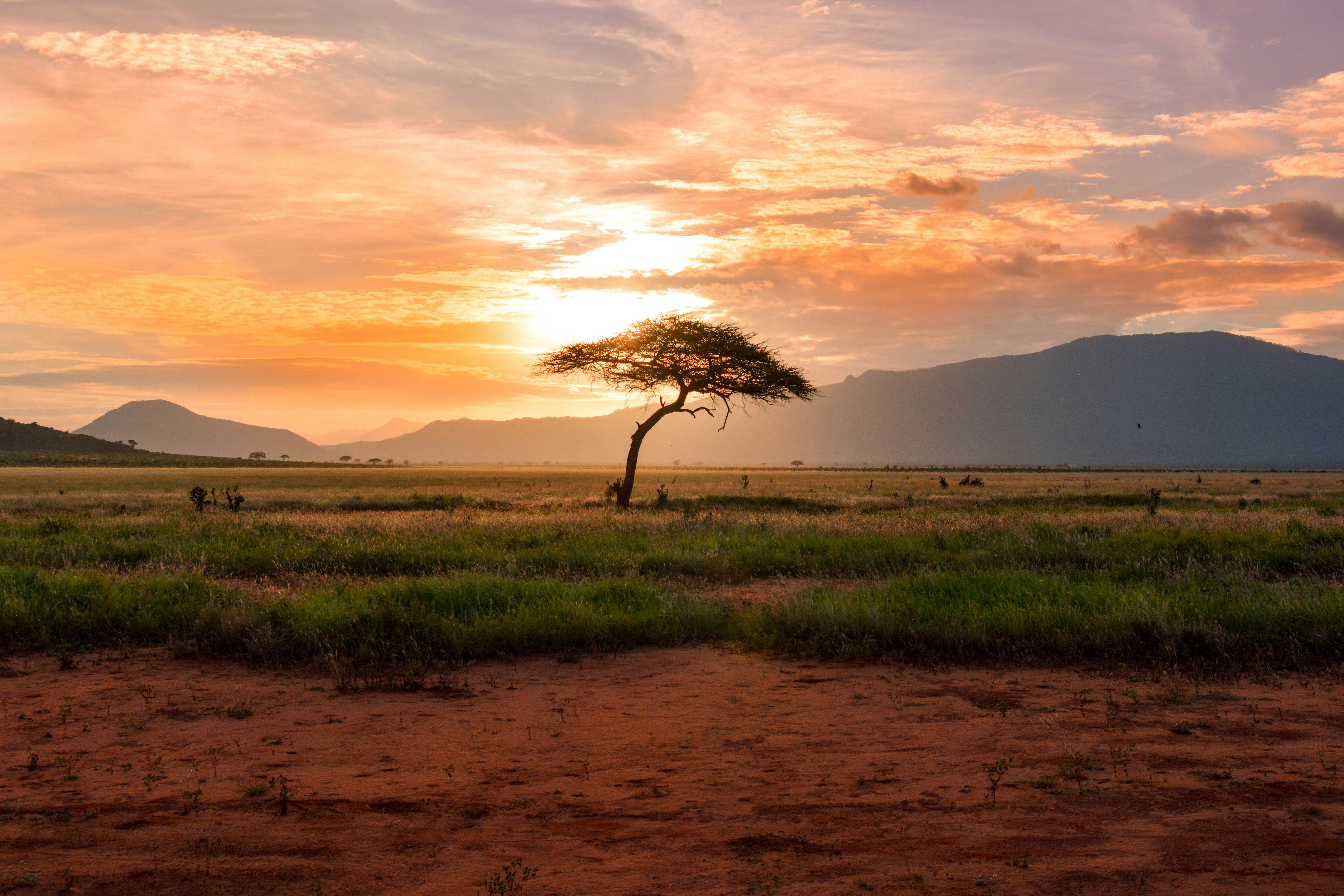 Saro Tours & Travels